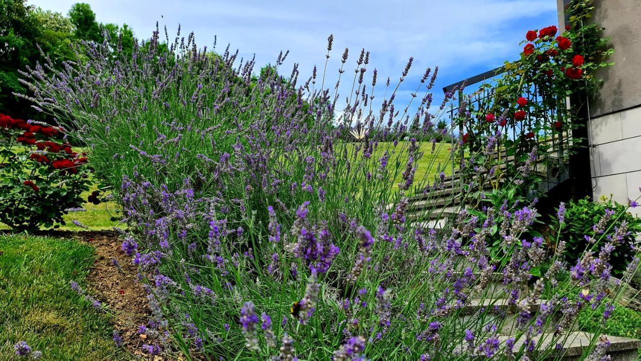 Apartmani Sanja Krapinske Toplice Buitenkant foto