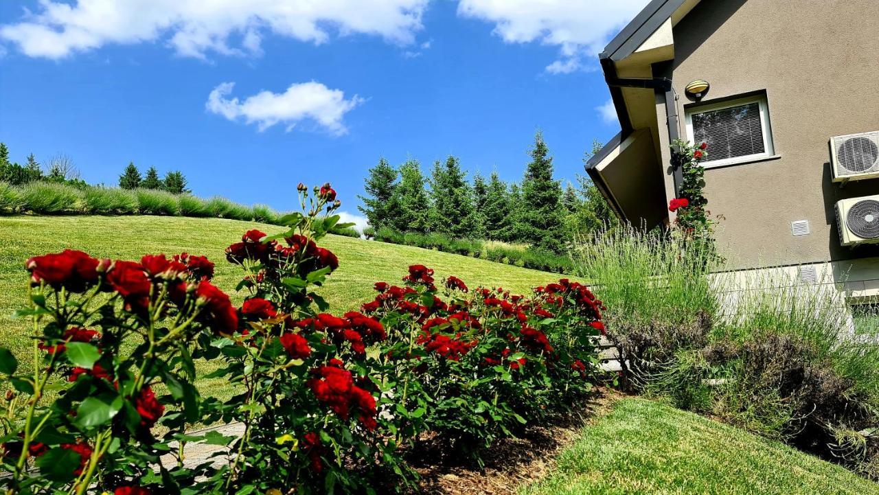 Apartmani Sanja Krapinske Toplice Buitenkant foto