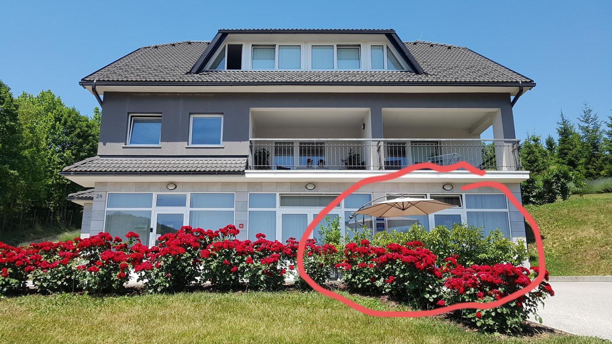 Apartmani Sanja Krapinske Toplice Kamer foto
