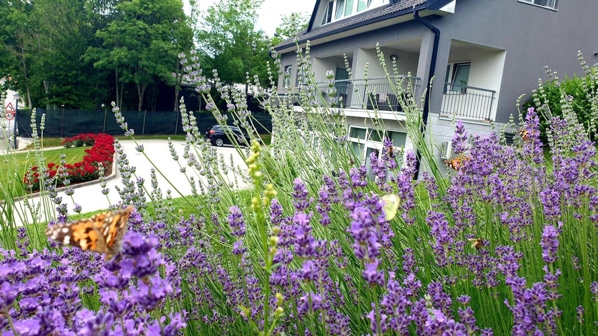 Apartmani Sanja Krapinske Toplice Buitenkant foto