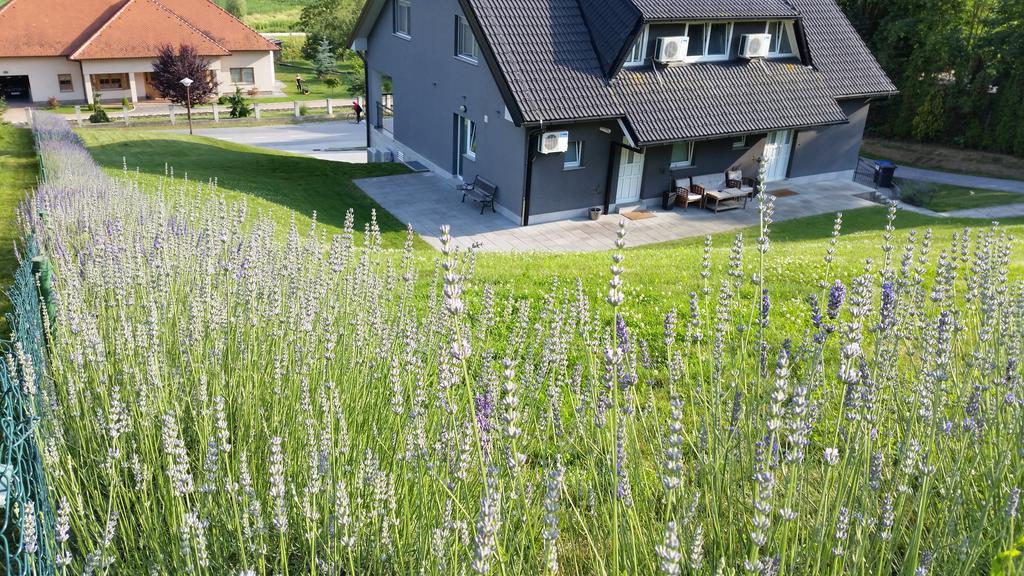 Apartmani Sanja Krapinske Toplice Buitenkant foto